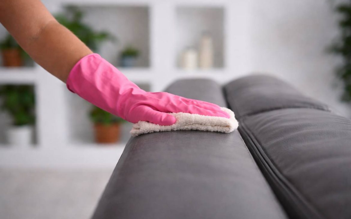 Leather Furniture Care