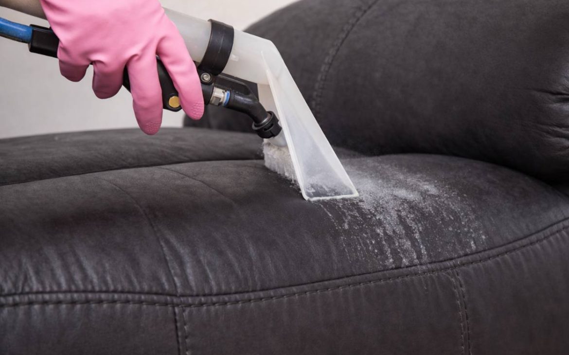 Water beading on protected black leather sectional with pet lounging.