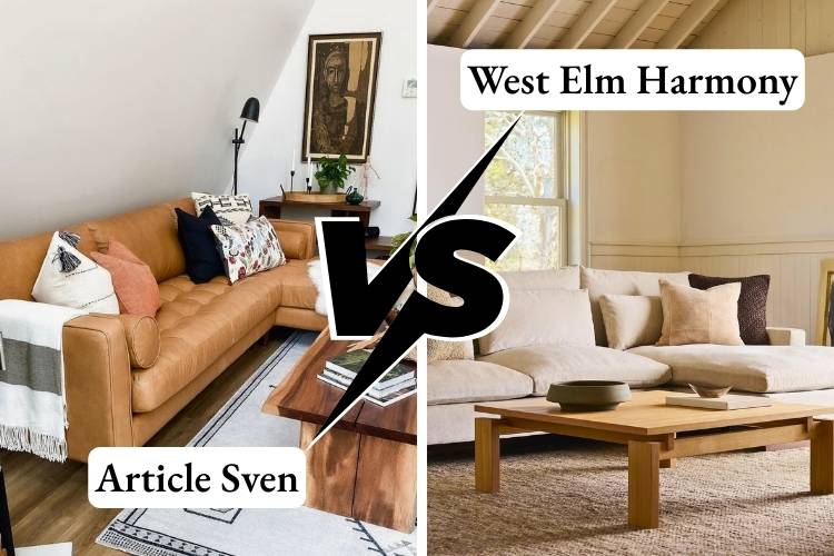 Article Sven Sofa Vs West Elm Harmony: Which Is Best 2026
