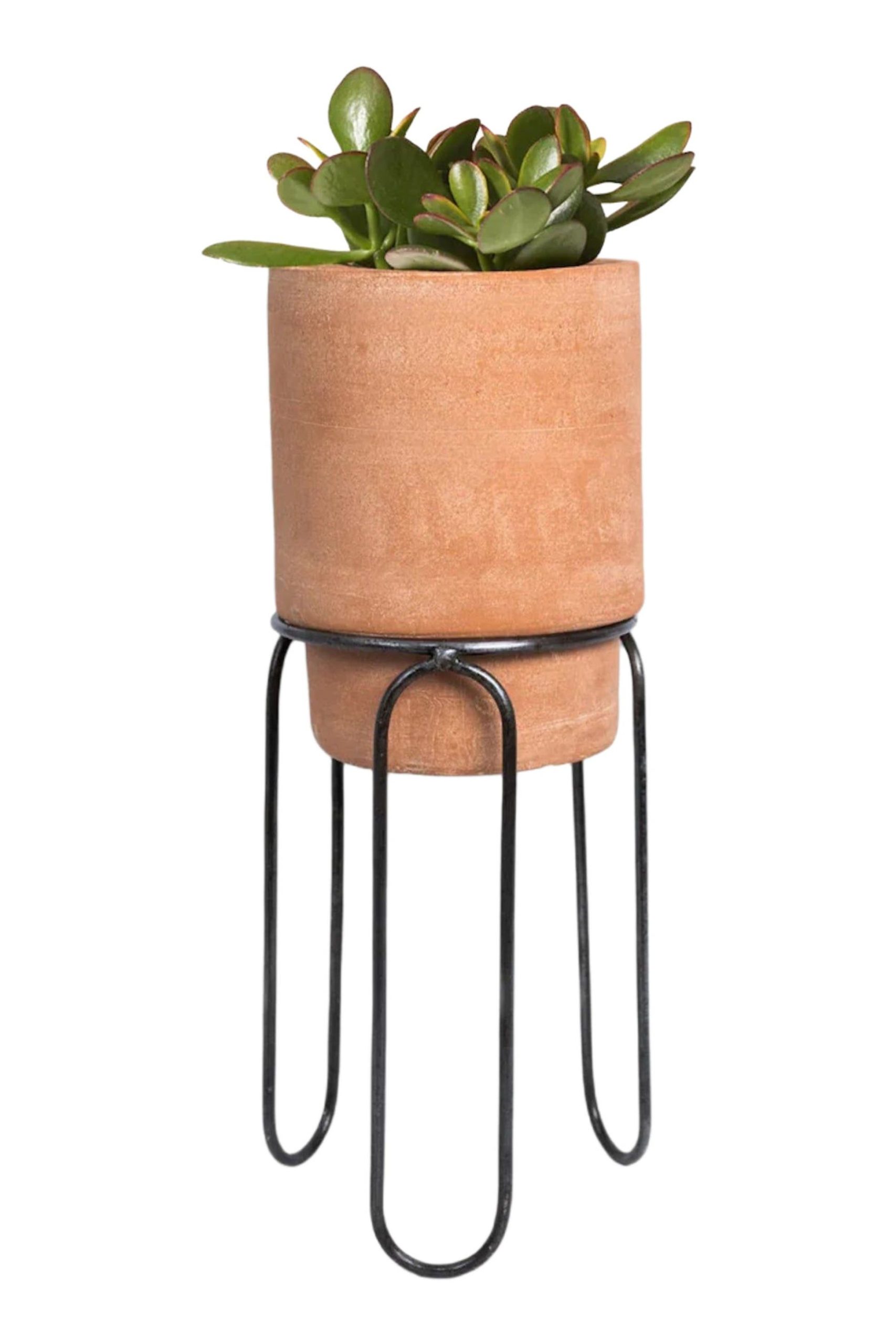 Jaro Terracotta Planter Meso Goods Nordstrom Anniversary Sale